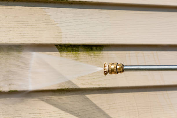 Best Affordable Pressure Washing  in Osakis, MN